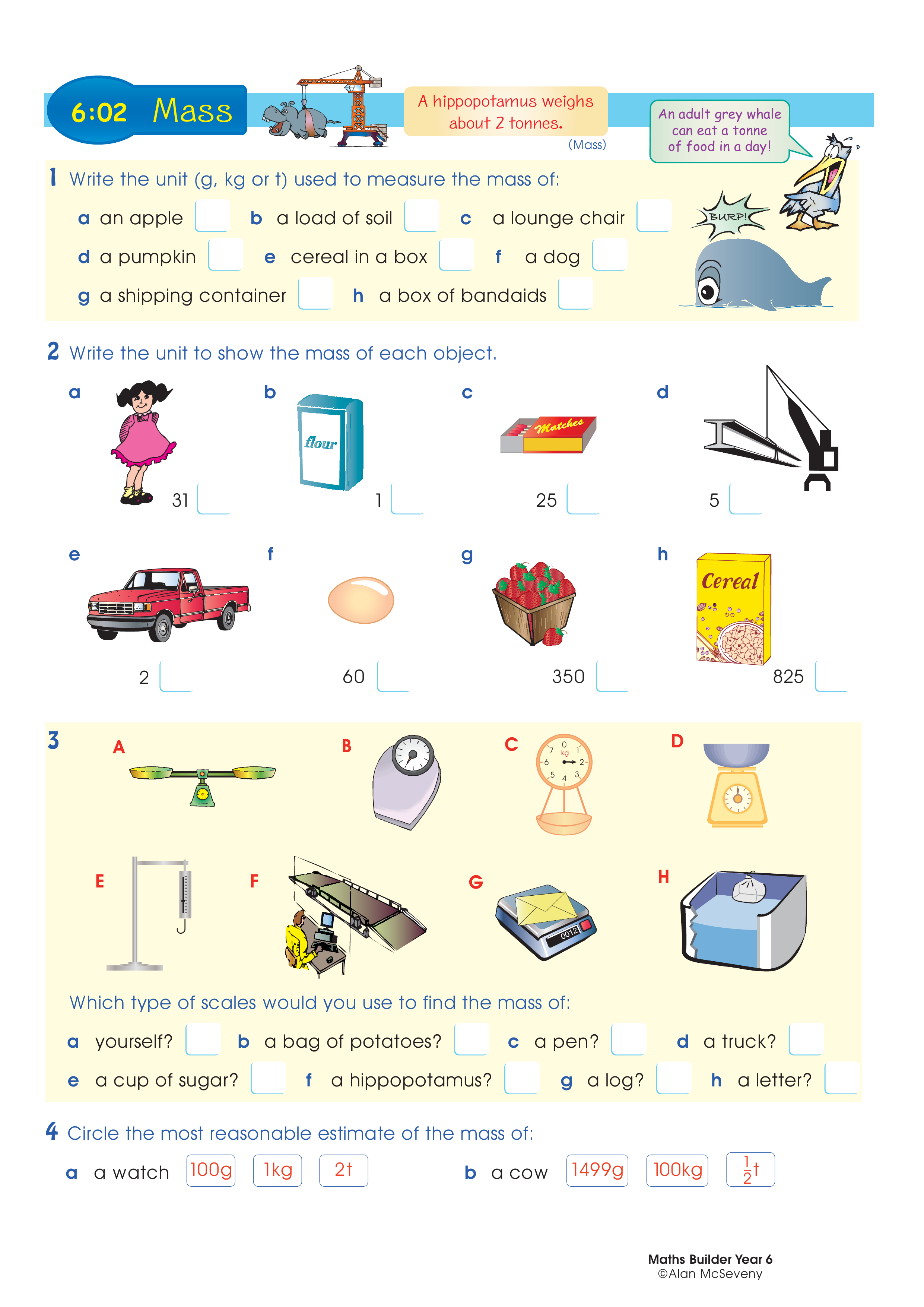 Mass — worksheet preview