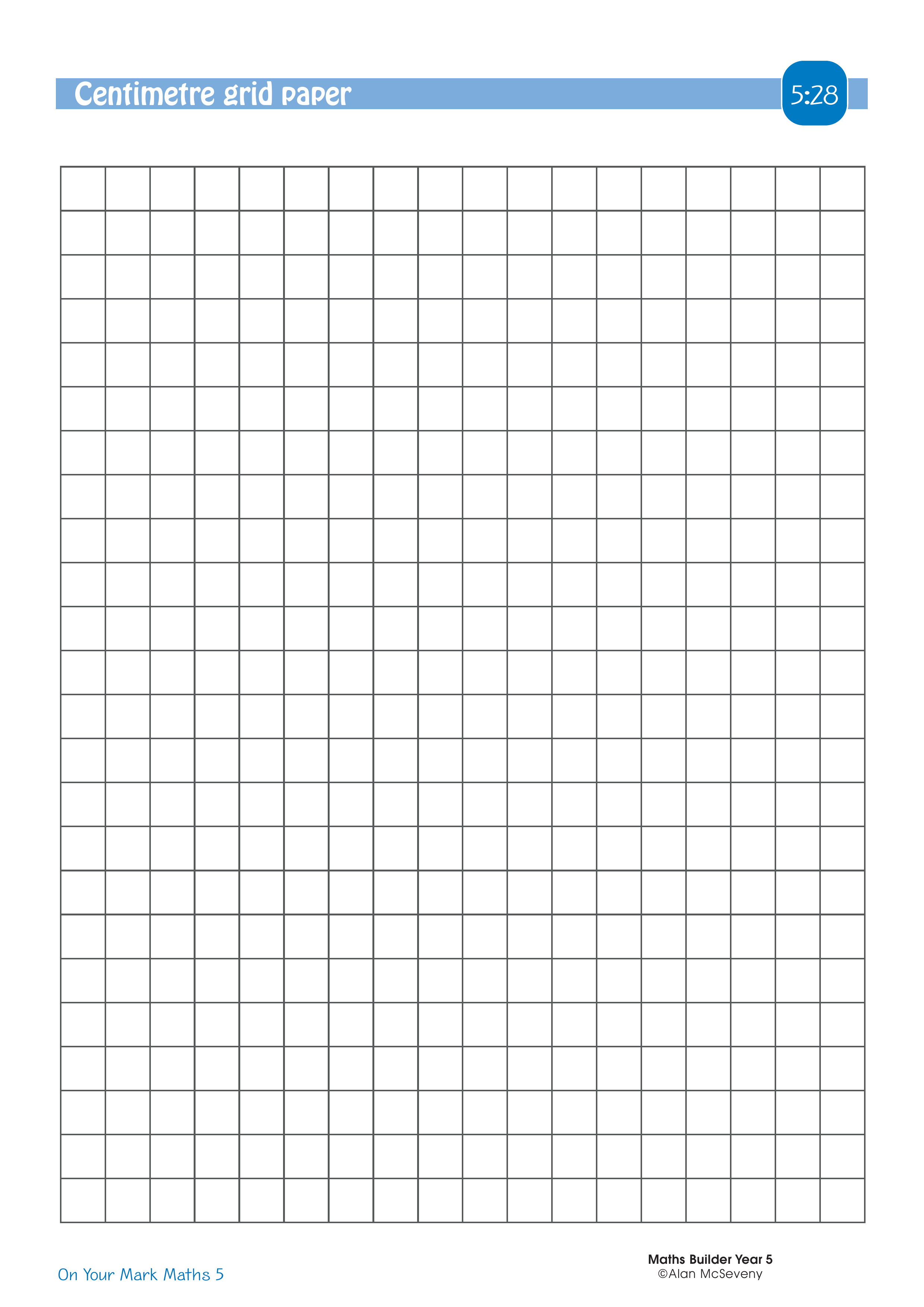 Centimetre grid paper — worksheet preview