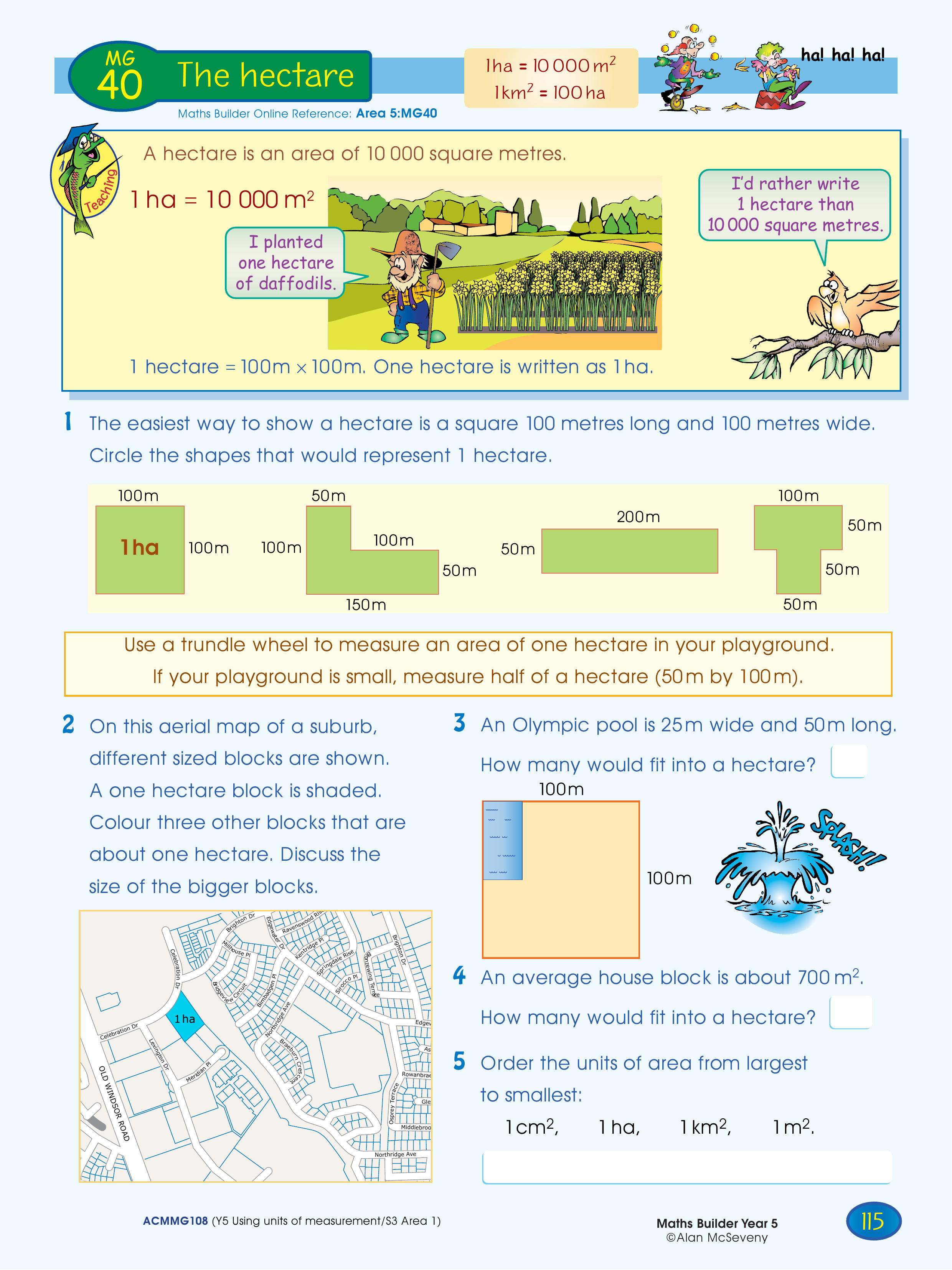 The hectare — worksheet preview
