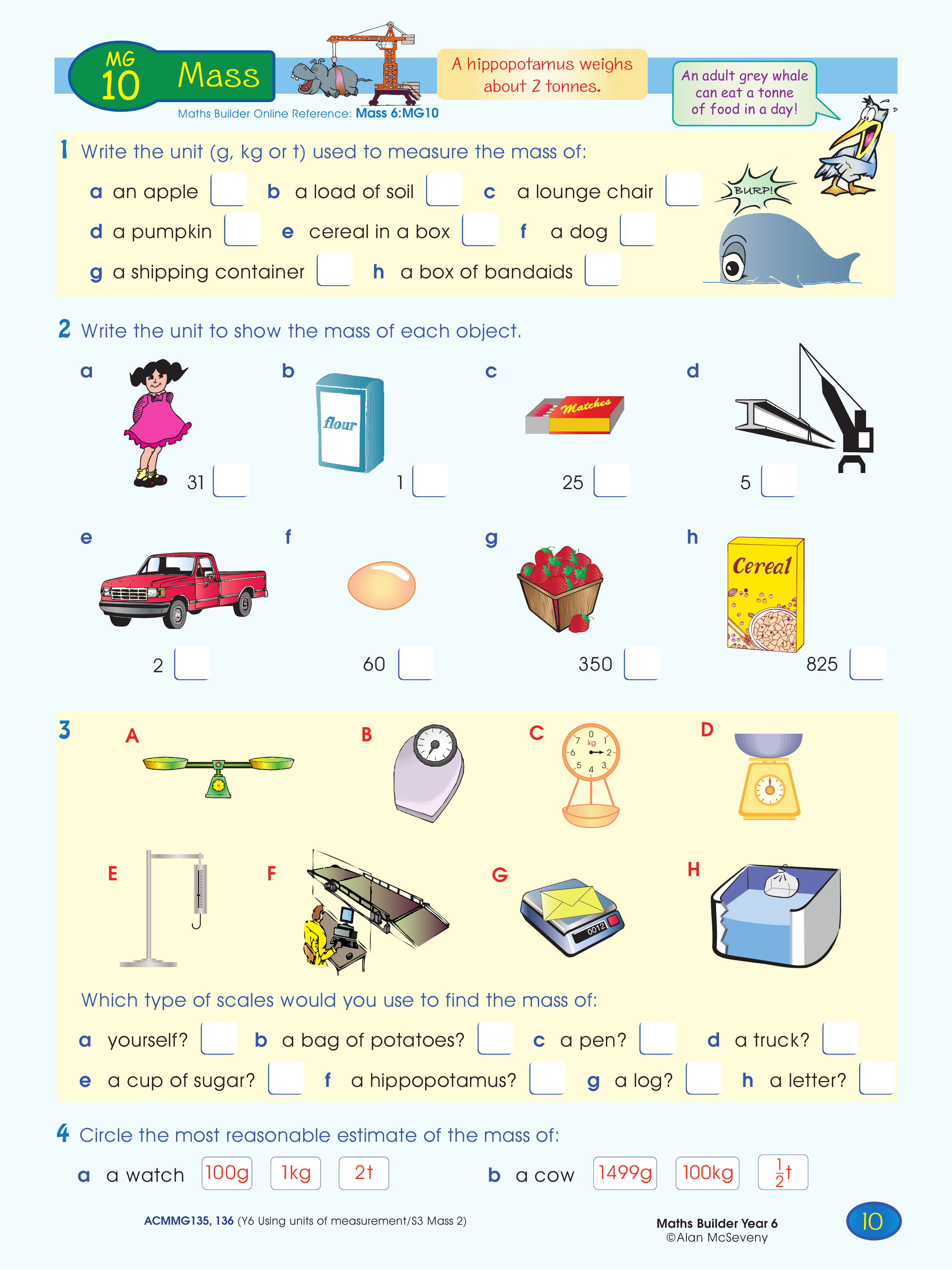 Mass — worksheet preview