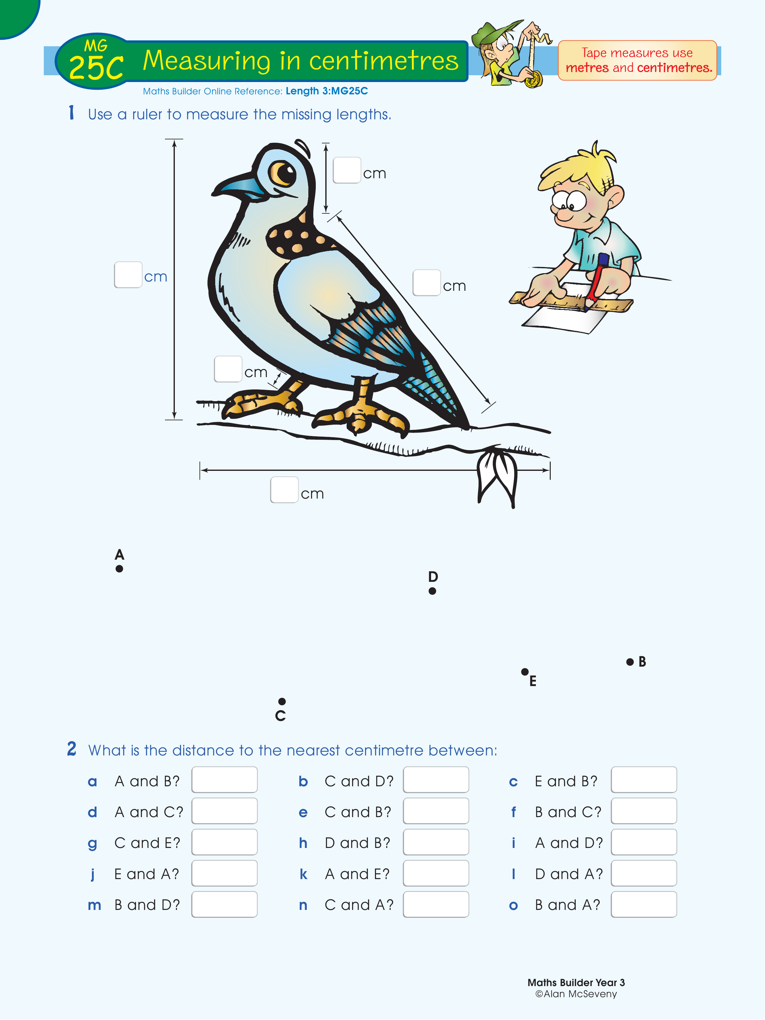 Measuring in centimetres — worksheet preview
