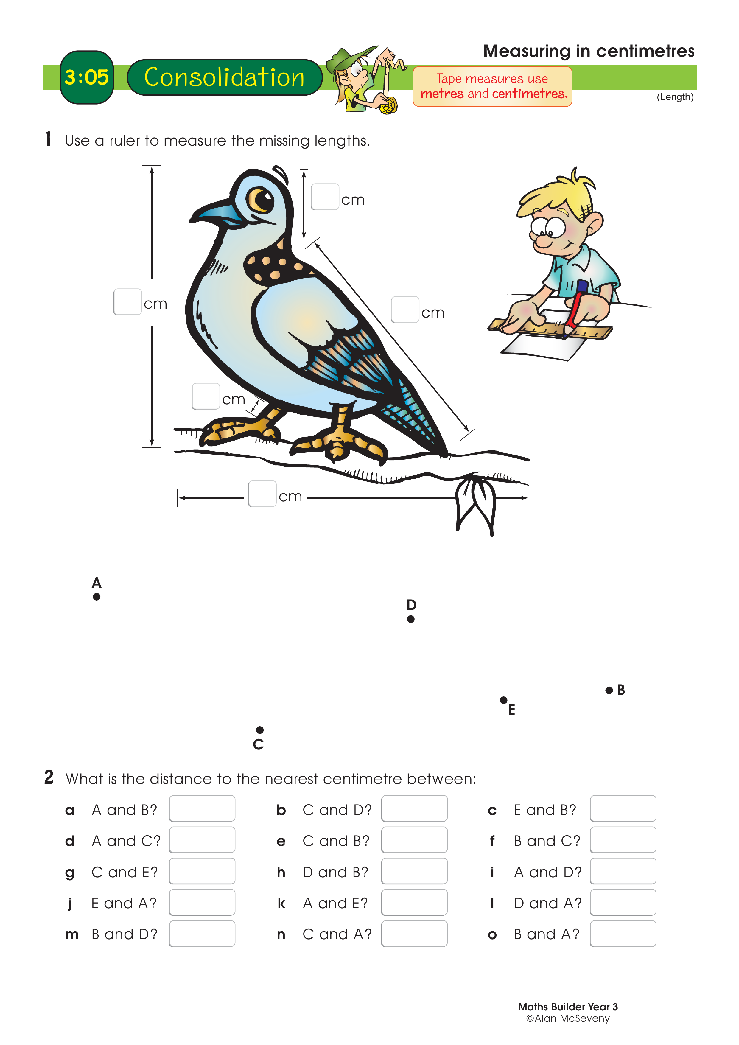 Measuring in centimetres — worksheet preview